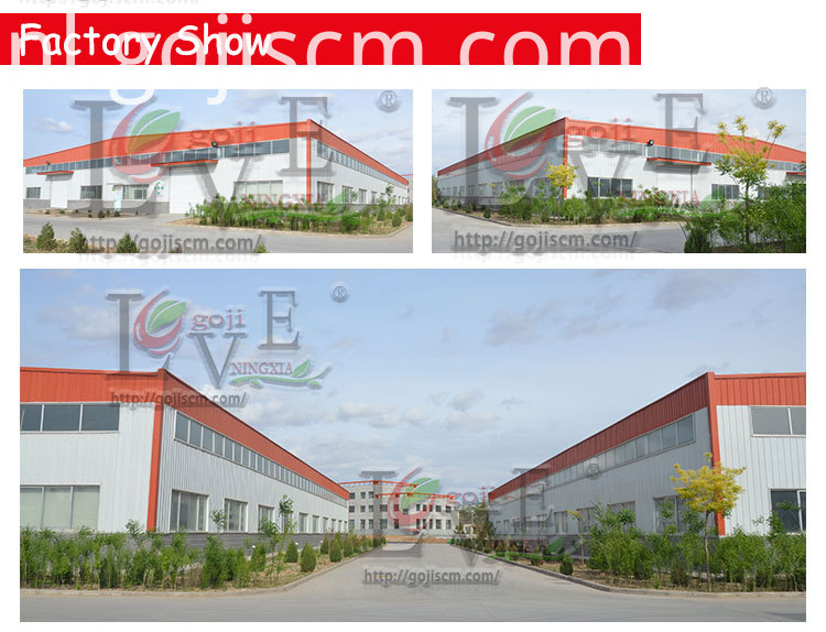 Natuurlijk gecertificeerde GOJI BERRY fabrieksshow Natural Certificated GOJI BERRY factory show